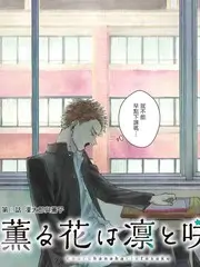 声音的边境 音乐综艺全集在线观看